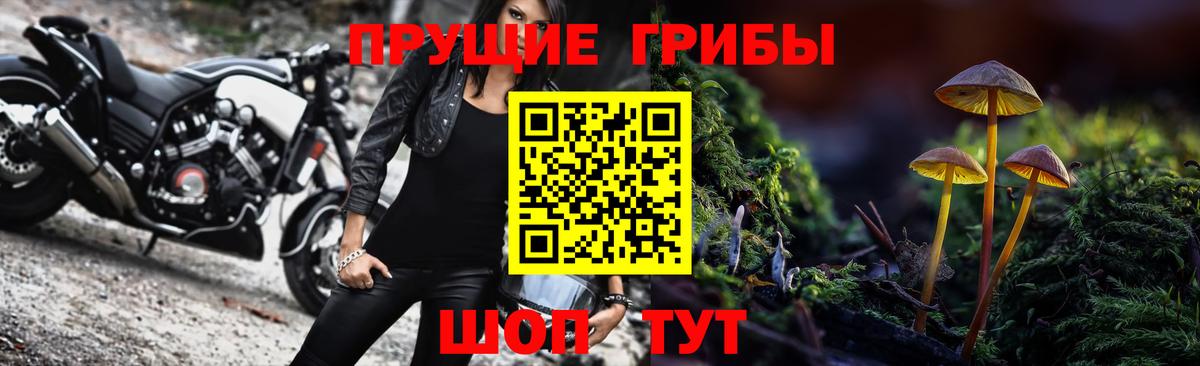 Псилоцибиновые грибы Cubensis  Псилоцибиновые грибы GOLDEN TEACHER  Вход с VPN  Гуково 
