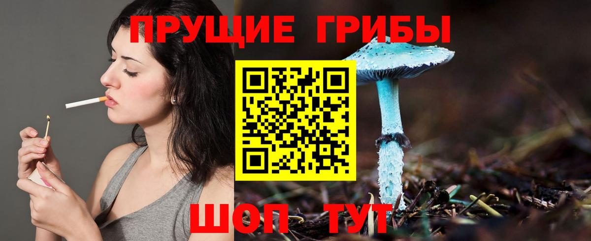 Галлюциногенные грибы ЛСД Гуково